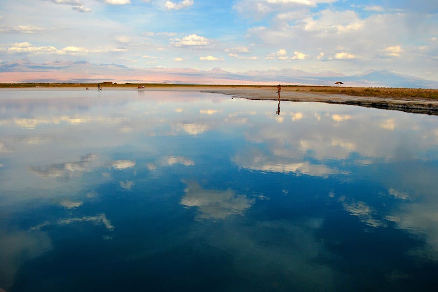 Laguna Cejar, Atacama