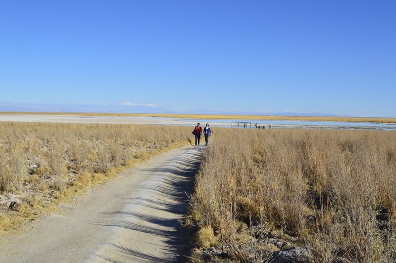 denomades-san-pedro-atacama-cejar-mcadeneau-2