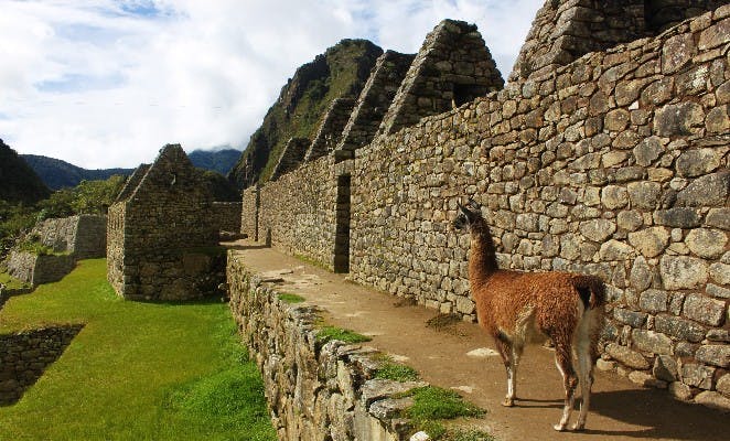 machu-picchu-foto-6