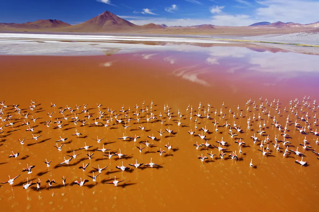 ruta-salar-uyuni-denomades-laguna-colorada