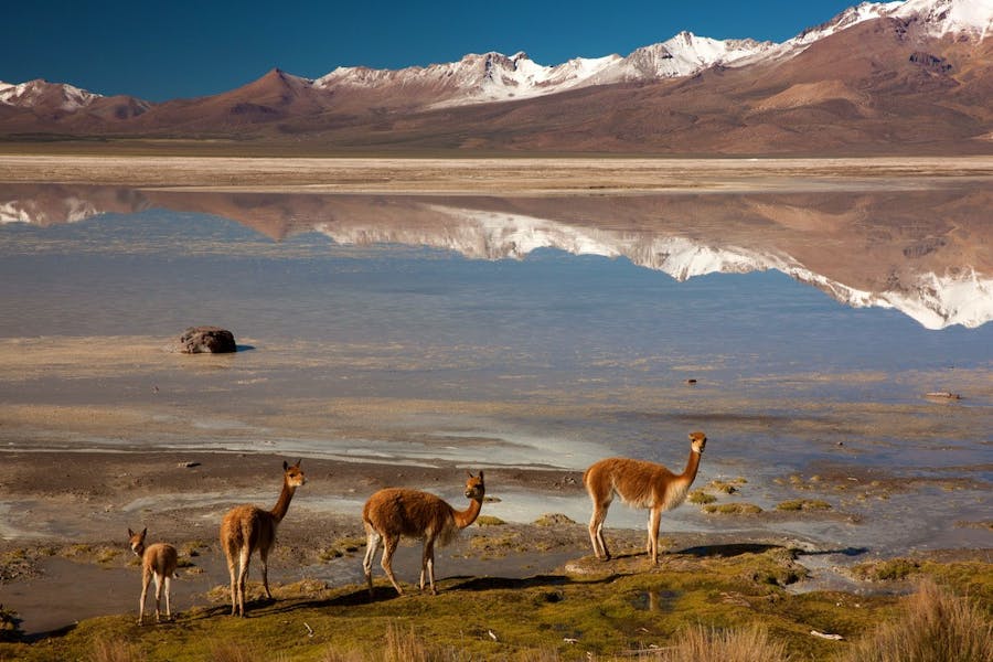 7 Monumentos Naturales de Chile que deberías visitar