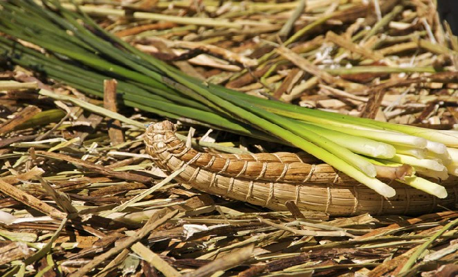 denomades-uros-puno-totora