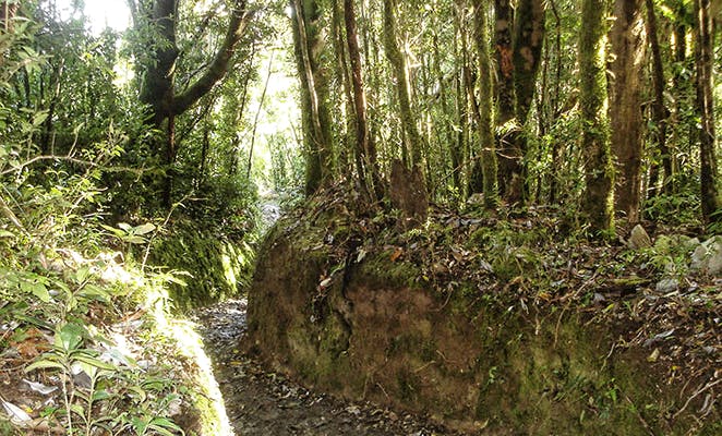 parque-chiloe