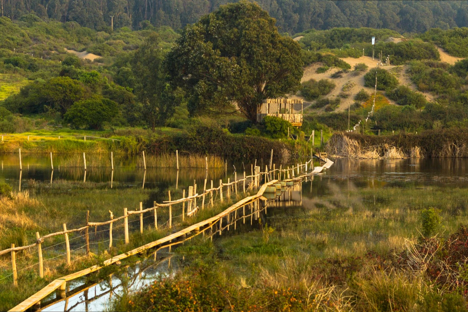 romántico-humedal-de-mantagua