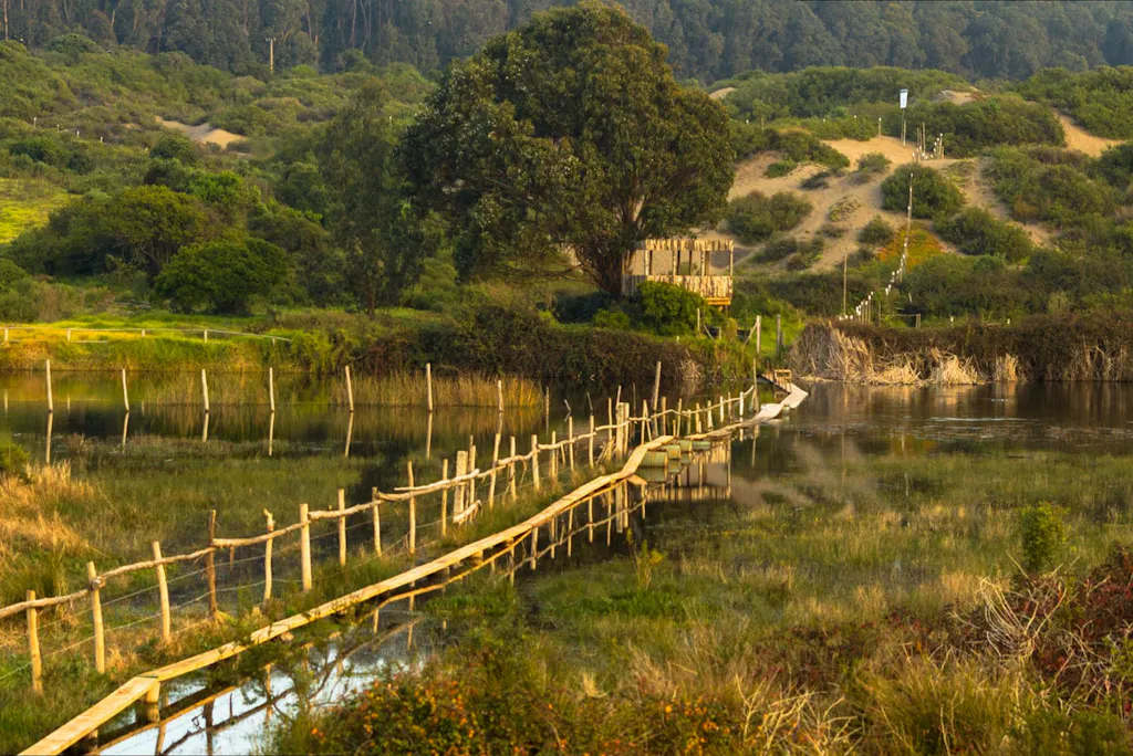 romántico-humedal-de-mantagua