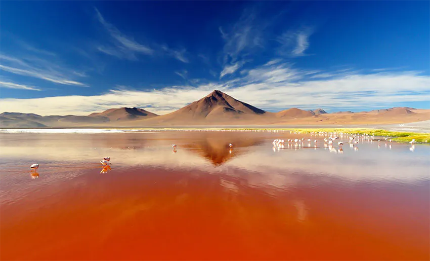 laguna-colorada-bolivia