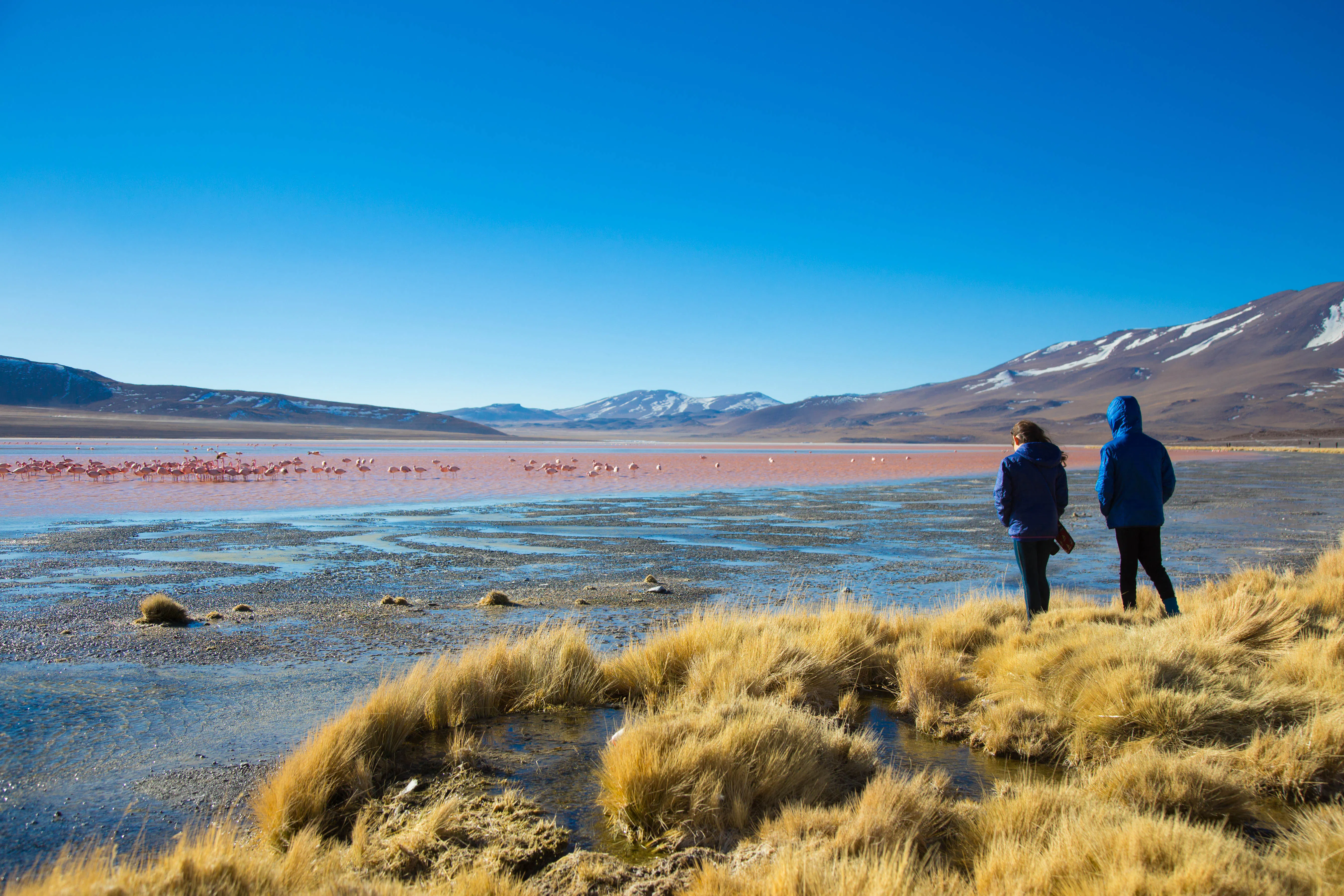 Pareja mirando laguna colorada