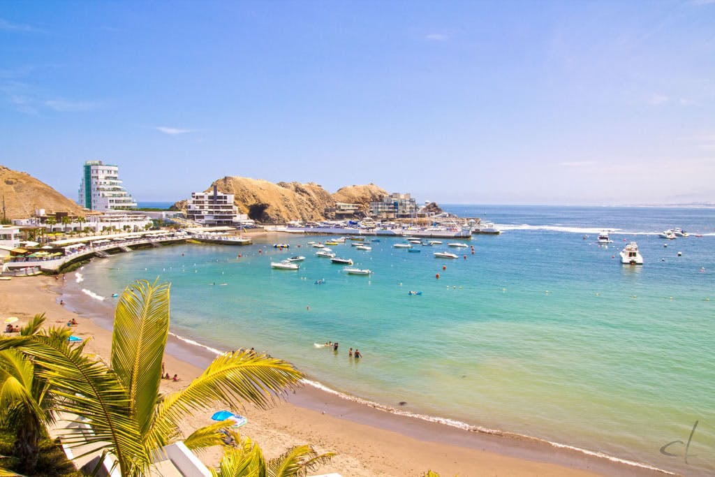 Playa turquesa con palmeras