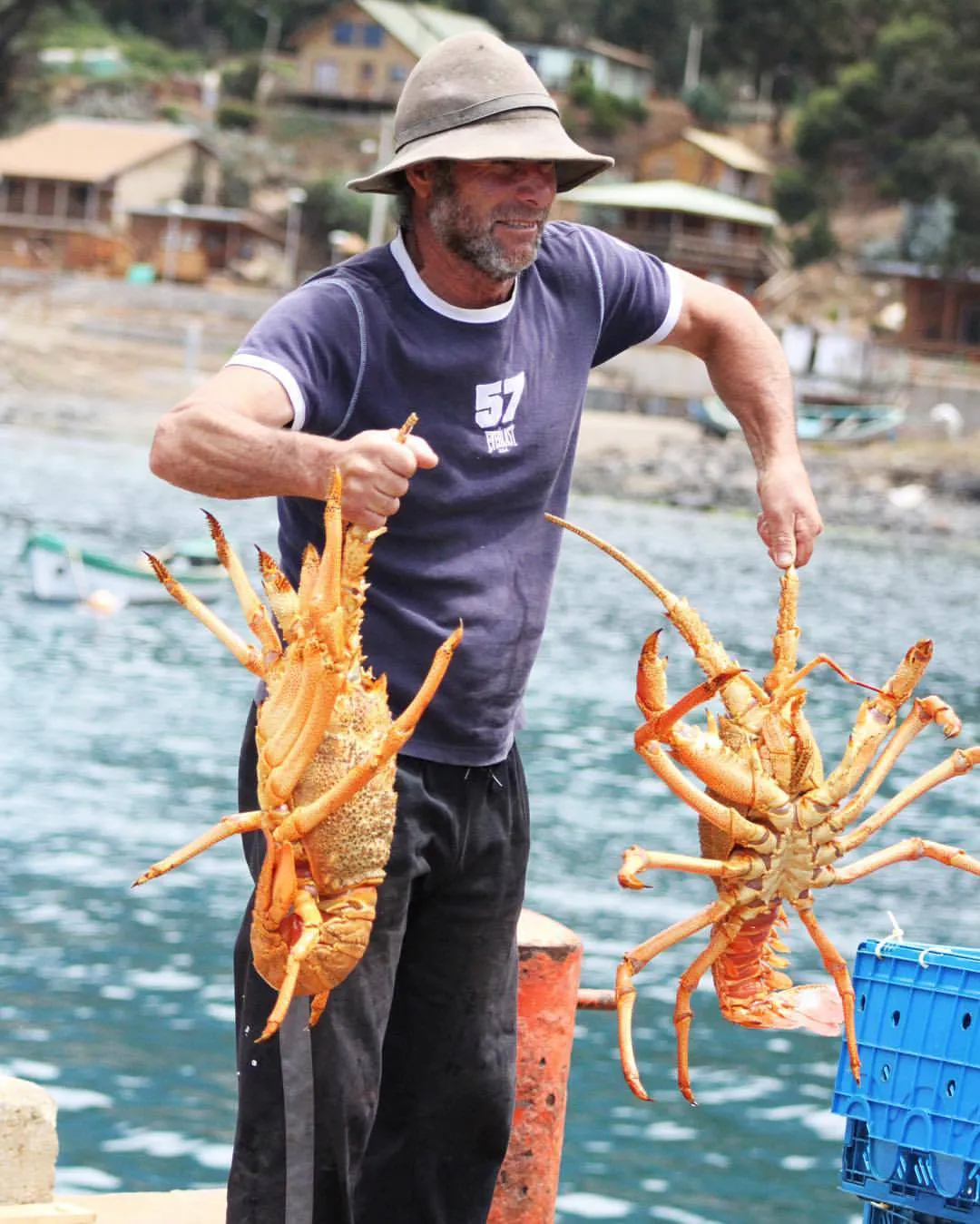 Pescador sosteniendo langostas