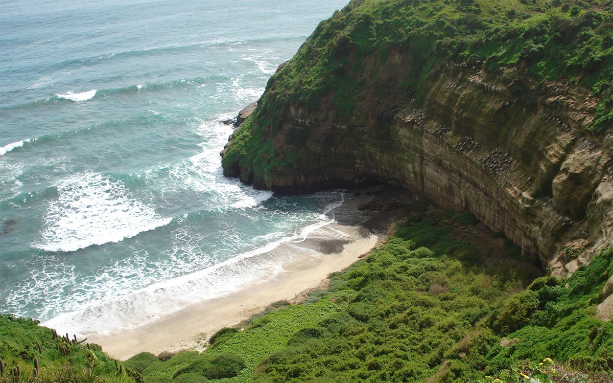 Playa frente a acantilado verdoso