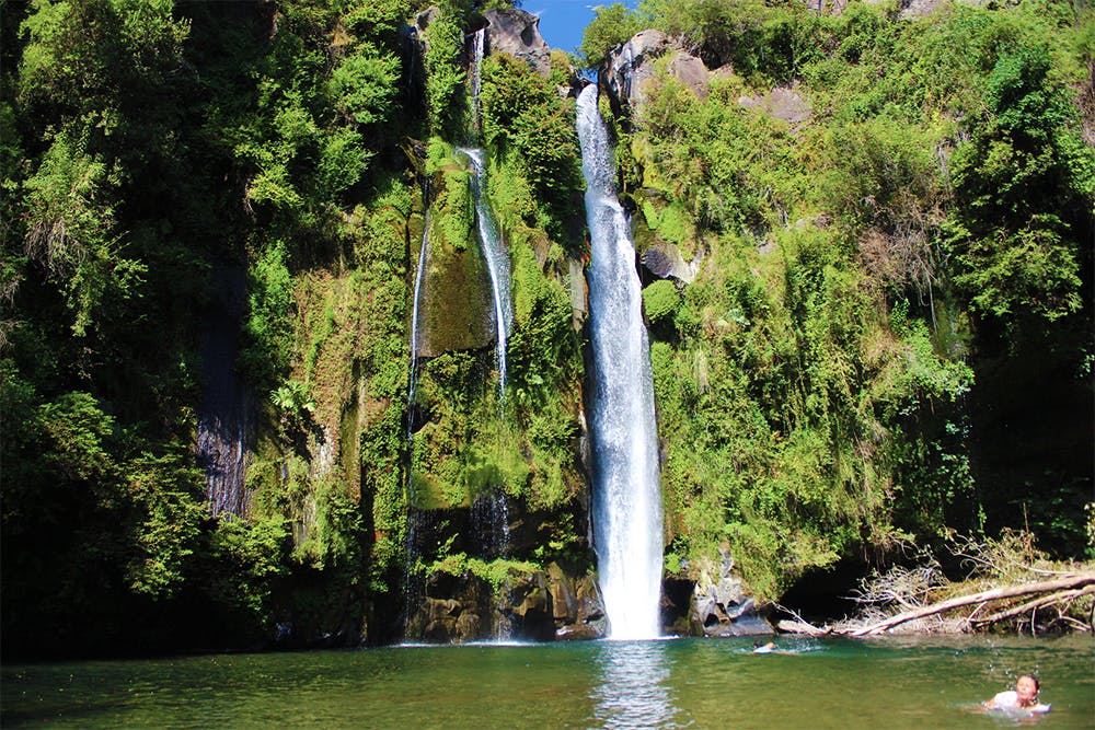 Cascada con frondosa vegetación