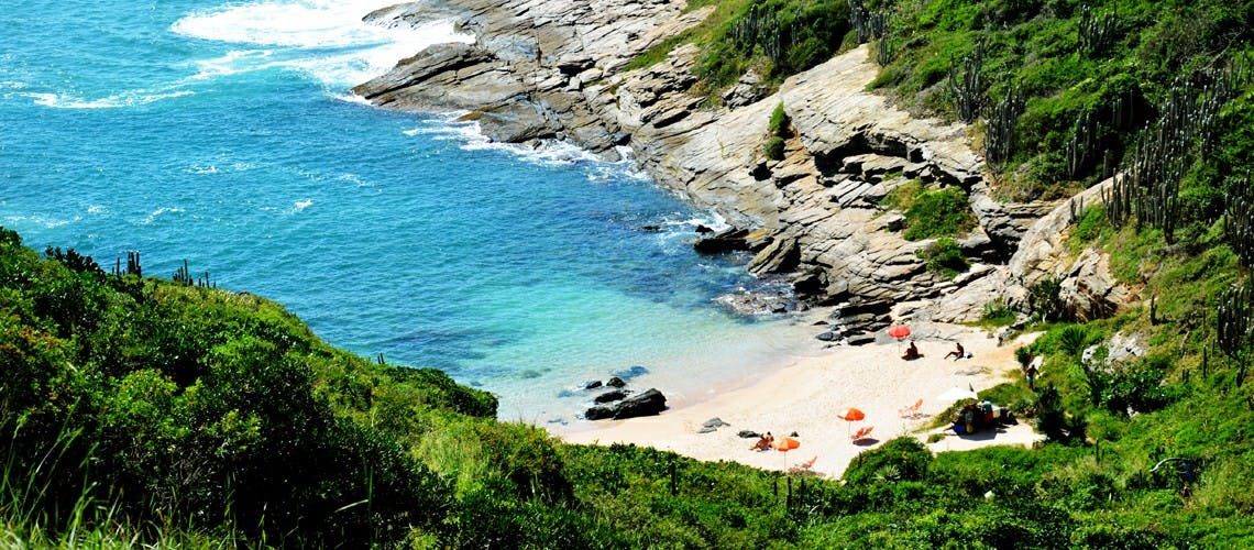 Bosque verde y pequeña playa