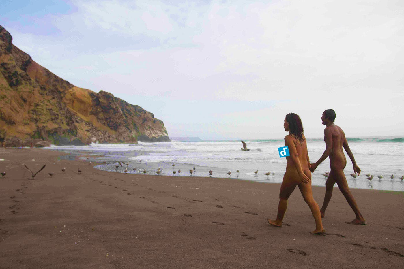 Pareja de nudistas caminando por la orilla del mar