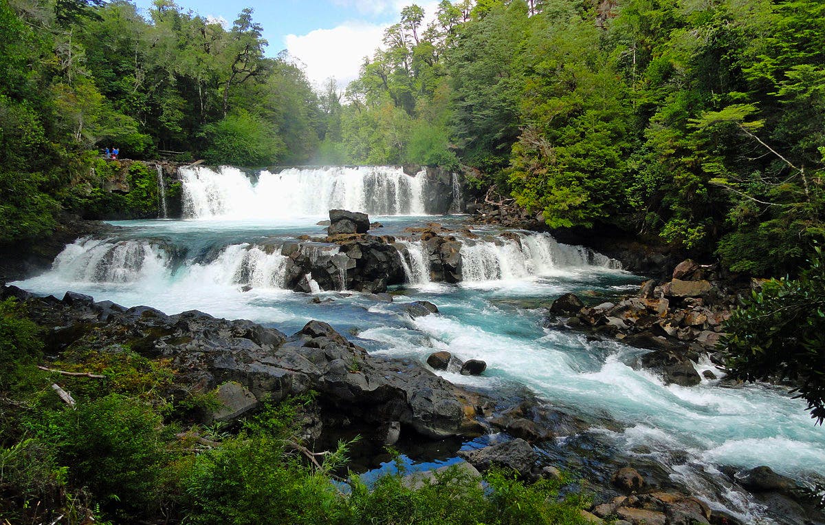 Salto de agua en medio del bosque