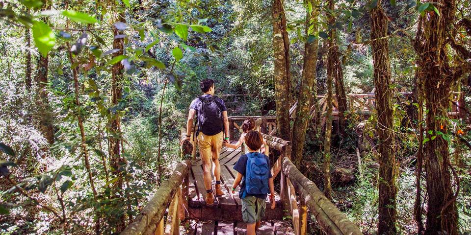 Familia caminando por sendero en el bosque