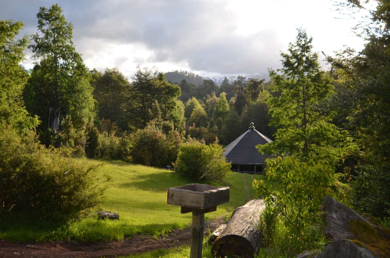 Bosque verde y quincho