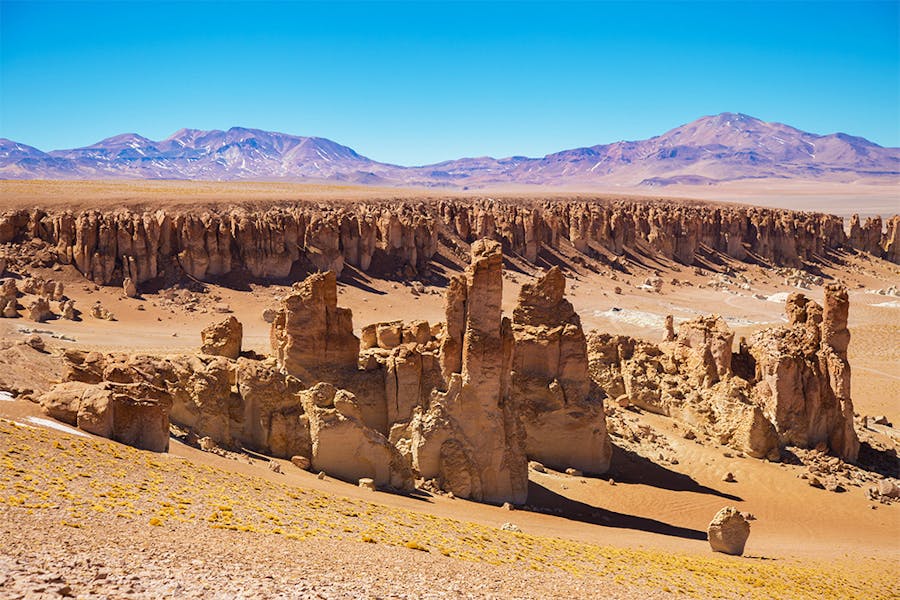 Salar de Tara: el secreto mejor guardado de Atacama