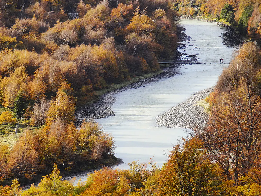 Puente y arboles en otoño