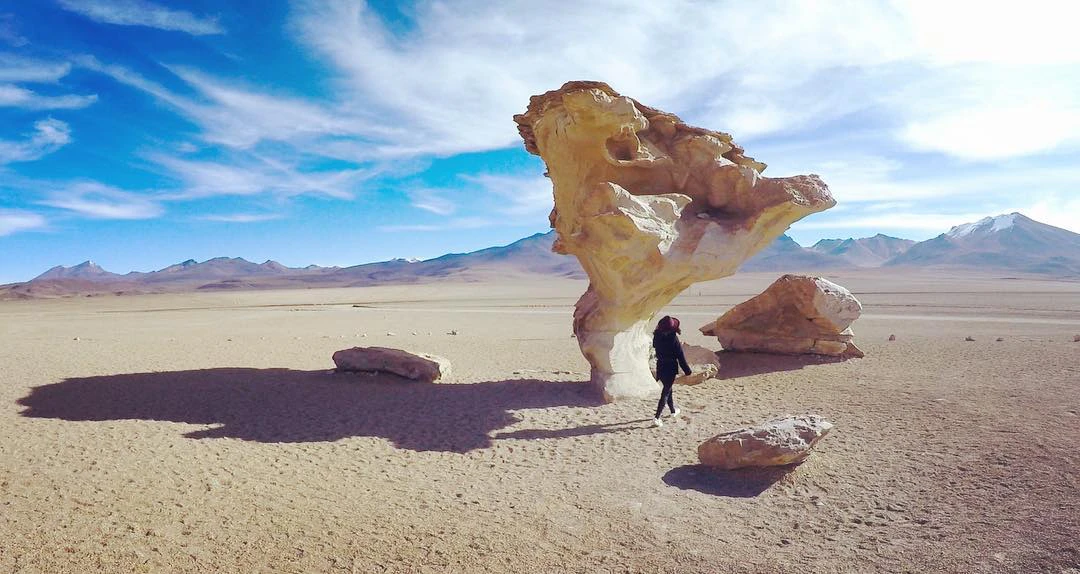 Roca con forma de árbol en el desierto boliviano