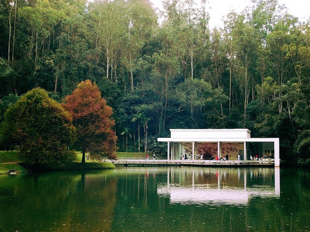 Casa blanca en medio de bosque verde y laguna