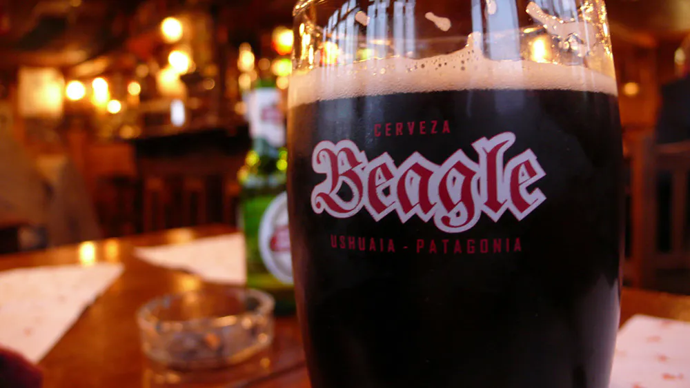 Cerveza Beagle en el bar