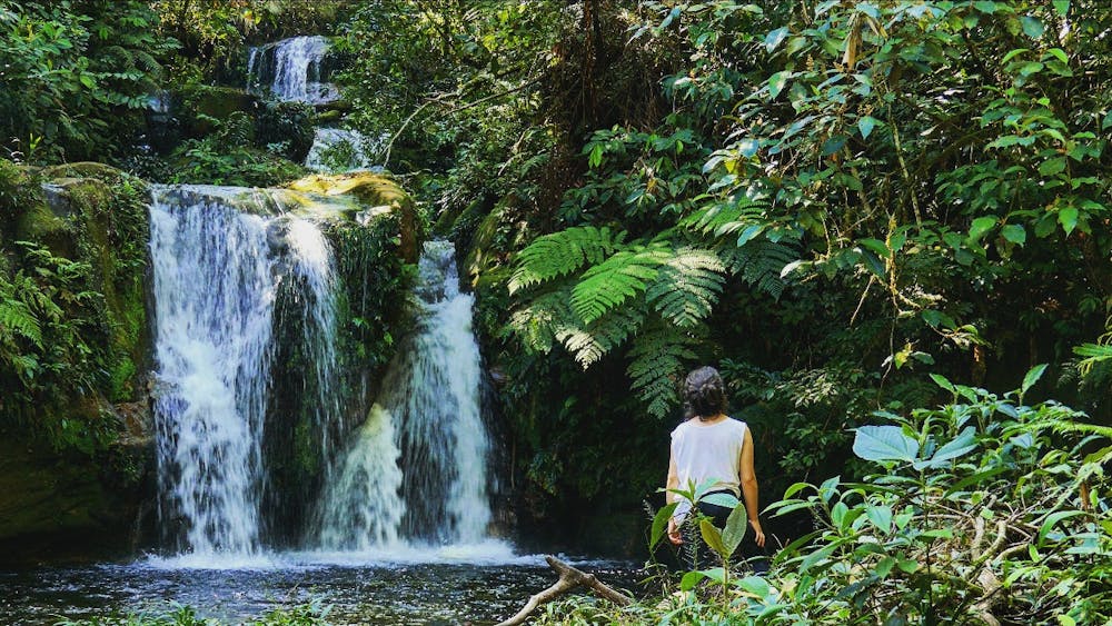 Cómo llegar a la selva desde Cusco