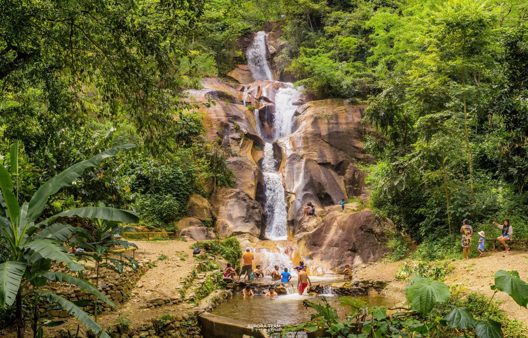 catarata y selva en latinoamérica