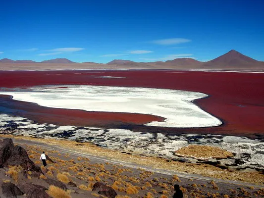 Laguna en salar de color blanco y rojo