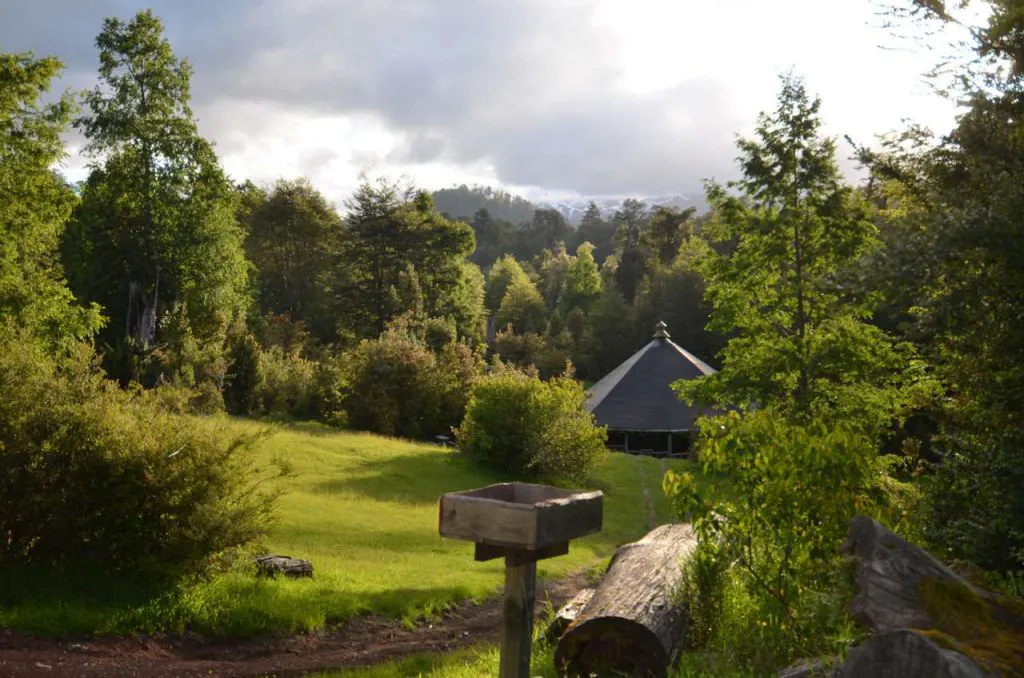 camping-huilohuilo Sector de camping en bosque de huilo huilo