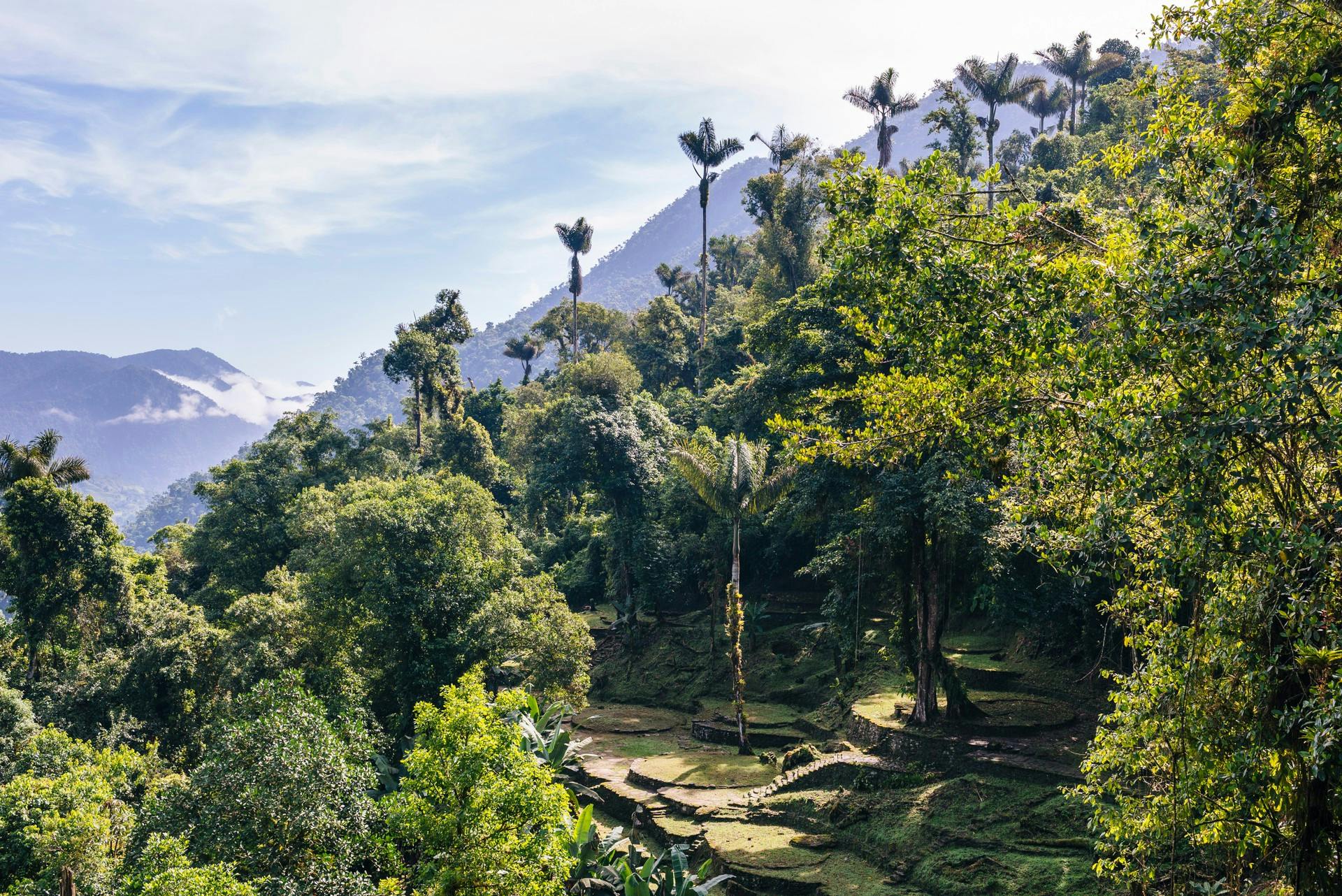 Restos arqueológicos en medio de la selva tropical en Ciudad Perdida