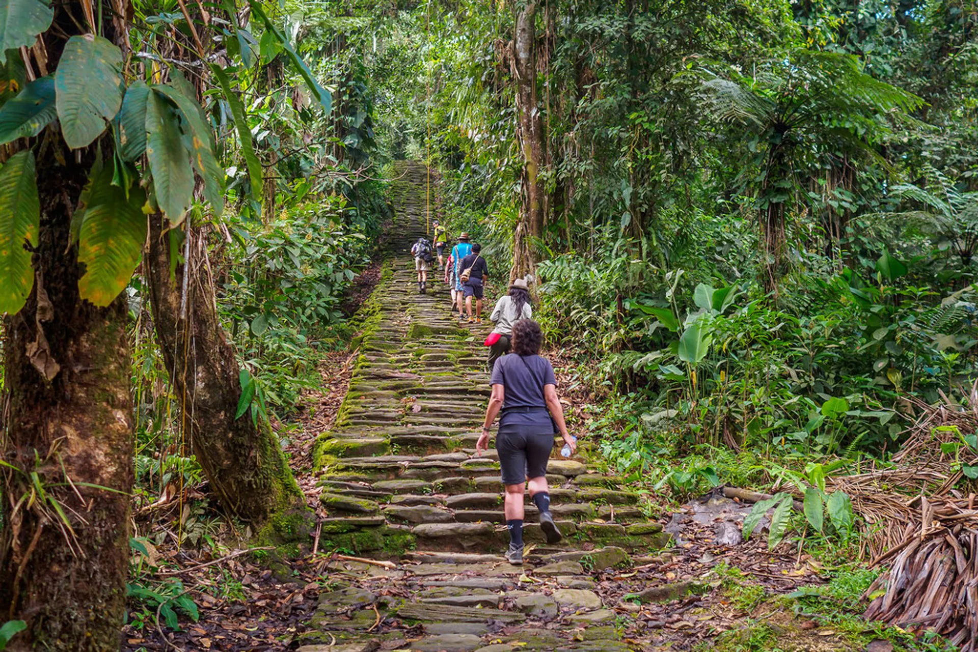 Viajeros suben escaleras en medio de la selva hacia Ciudad Perdida