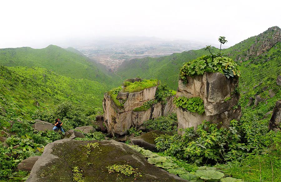 Formaciones rocosas cubiertas de vegetación en trekking en Lima