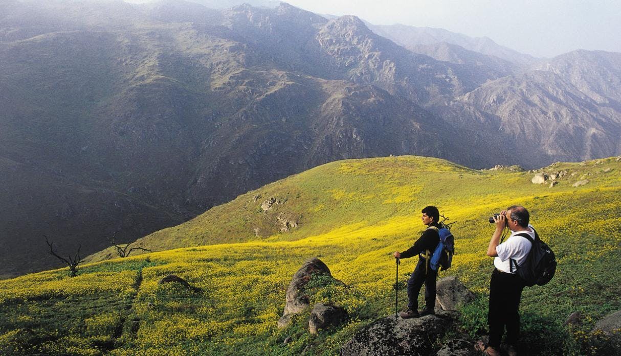 Dos viajeros observan paisaje montañoso