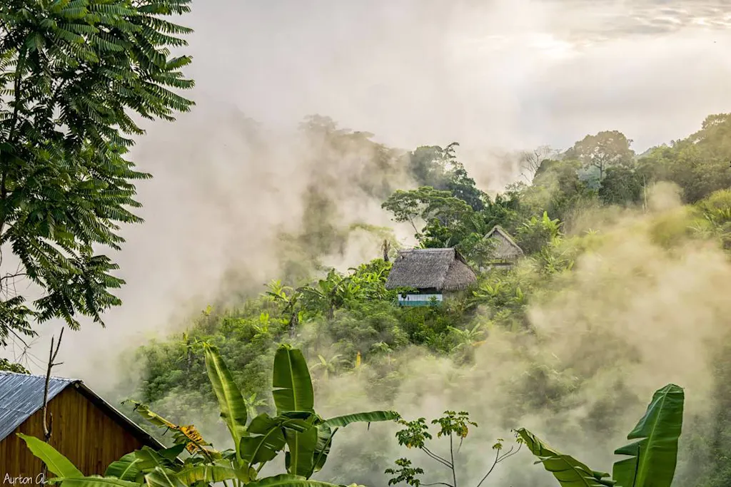 casas-mayantuyacu Casas en medio del amazonas con neblina