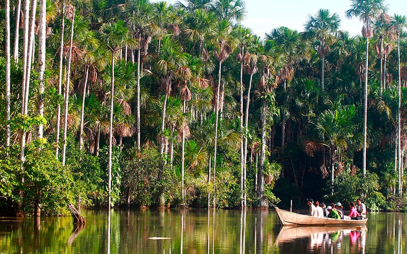 Personas navegando en lago en la selva en puerto maldonado