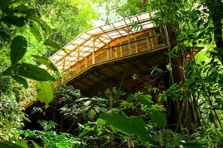 Casa de madera enmedio de la selva en iquitos