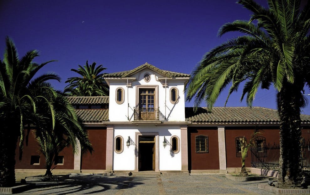 Frontis de un museo al lado de palmeras