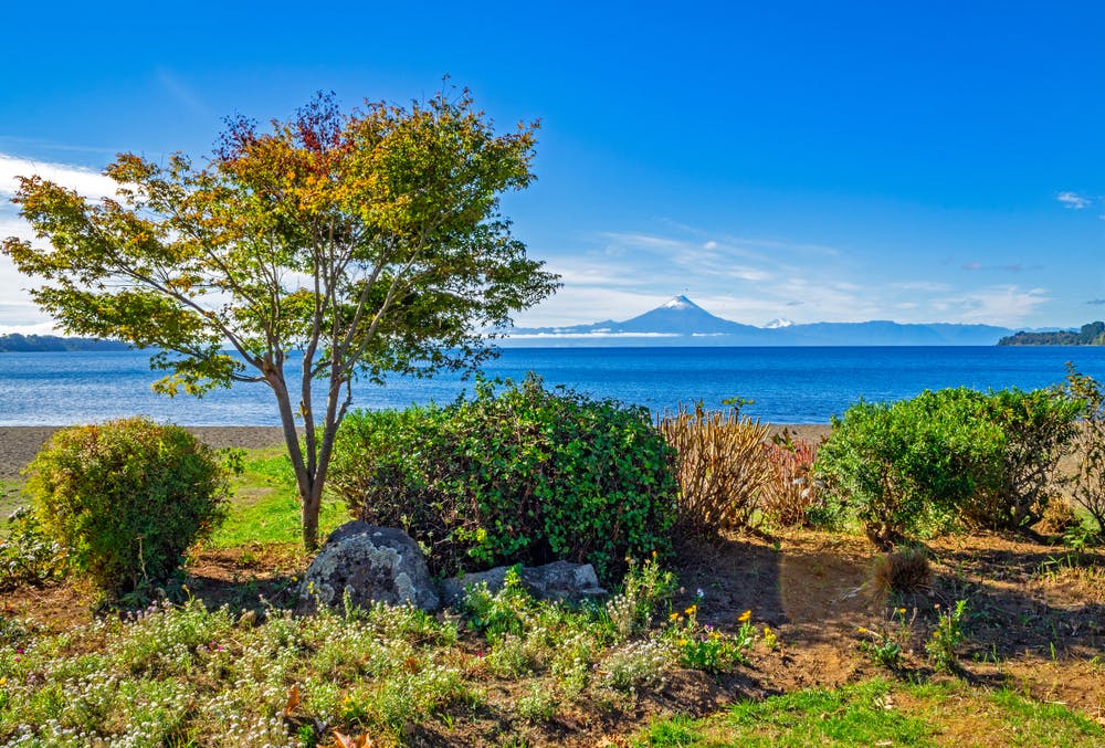 Lago con vegetación y volcán de fondo, uno de los más recomendados por tripadvisor