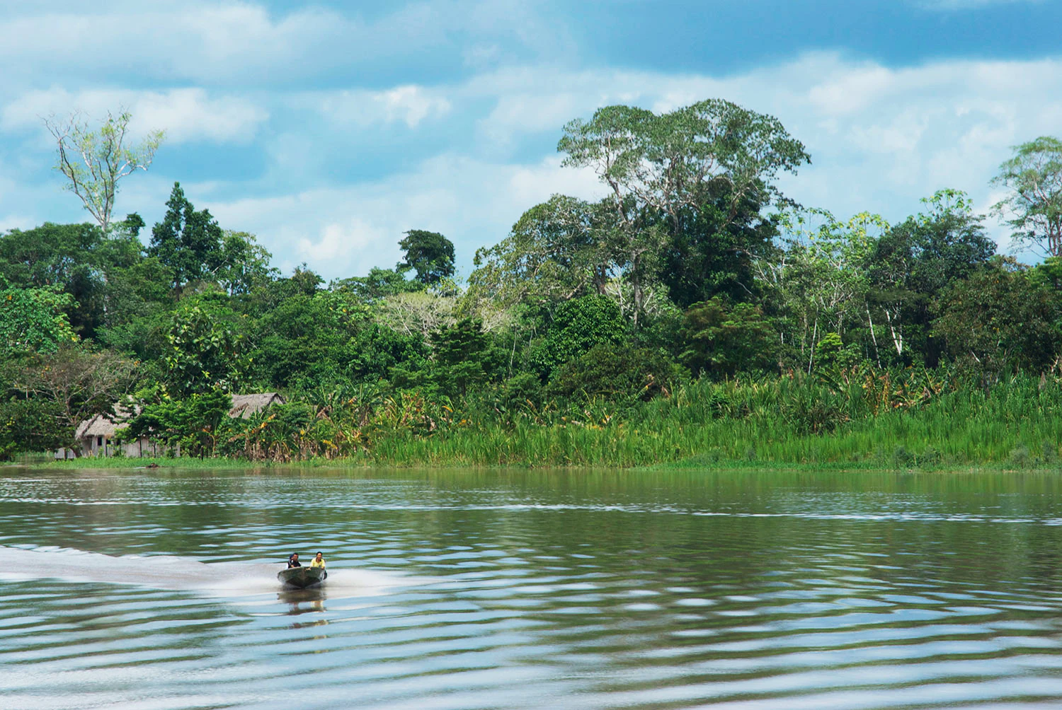 Viajeros navegan por río de amazonas en pacaya samiria
