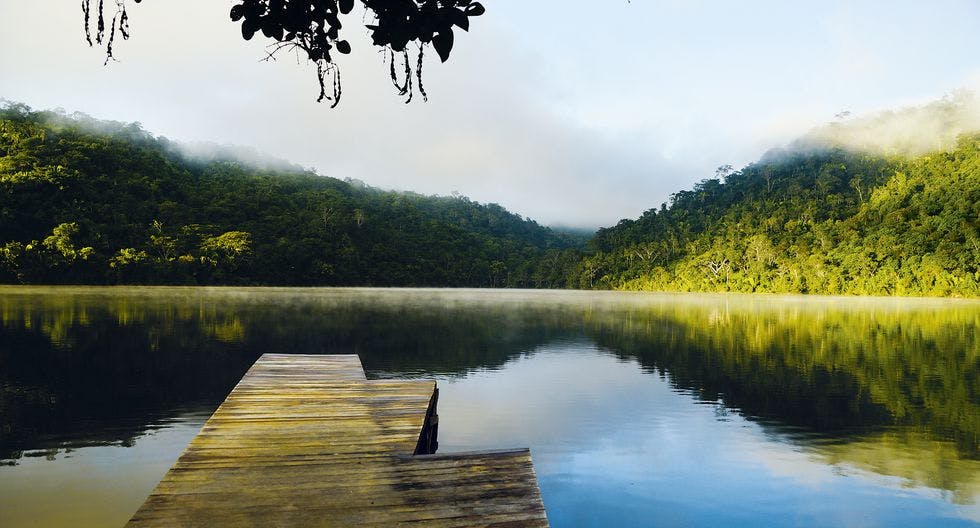 Laguna enmedio de la selva peruana en tarapoto