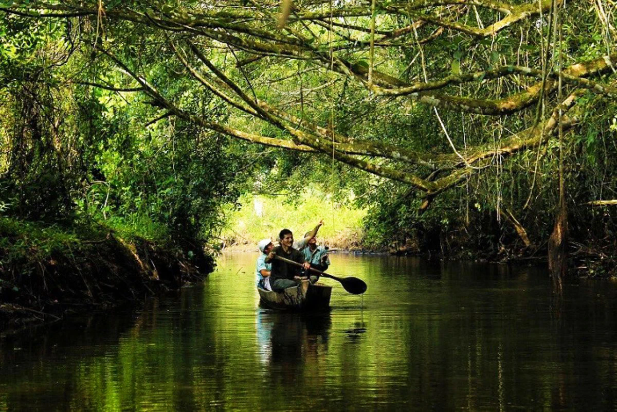 VIajeros remando en kayak por manglares de san pedro