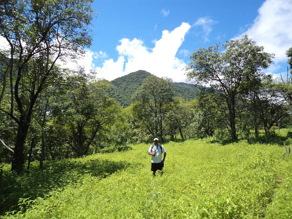 cerros-amotape Hombre en medio de vegetación y cerros
