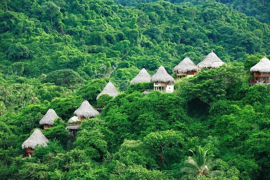 Alojamientos en medio de la selva del tayrona