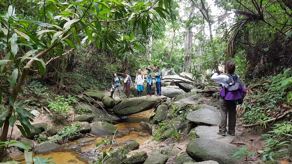 calabazo-tayrona Senderistas en rocas en medio de la selva