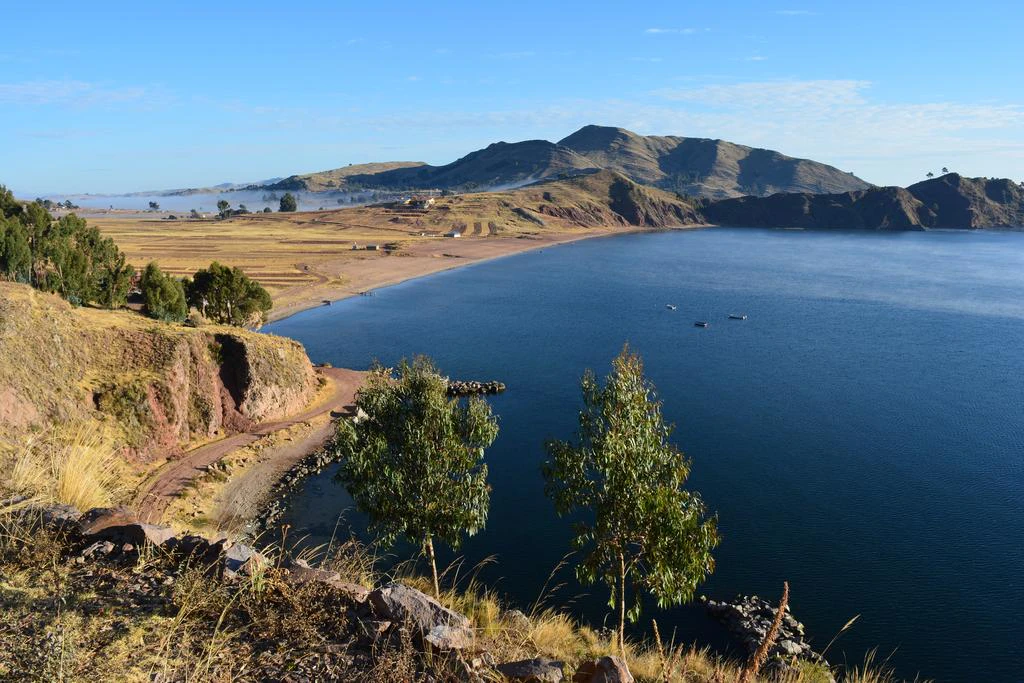 Playa en un lago con árboles en la orilla