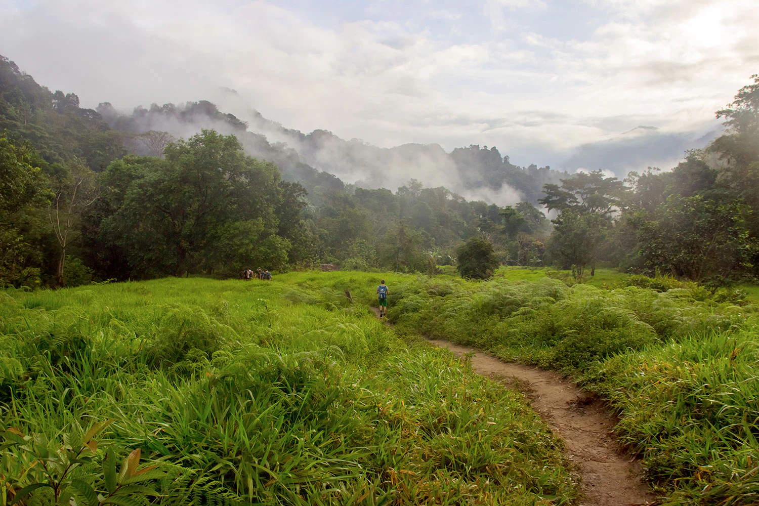 Viajero realizando caminata por enmedio de la selva colombiana