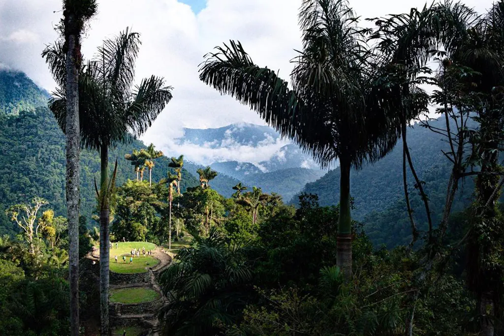 ruinas-colombia Ciudad perdida en medio de palmeras y la selva colombiana