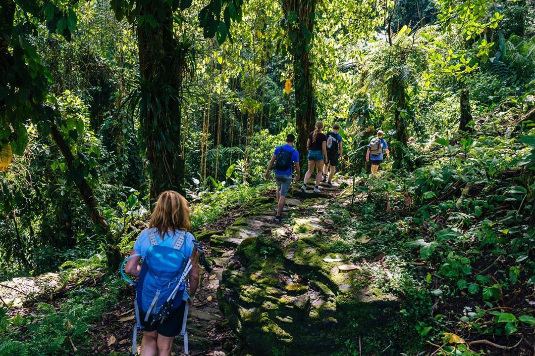 Viajeros caminando por sendero hacia la ciudad perdida de colombia