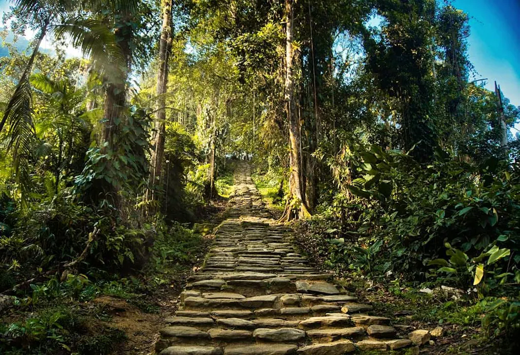 escalones-selva Escalones en medio de la selva