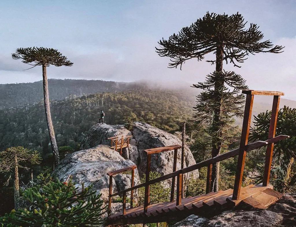 piedra-aguila Viajero sobre roca observa bosque desde las alturas en Chile